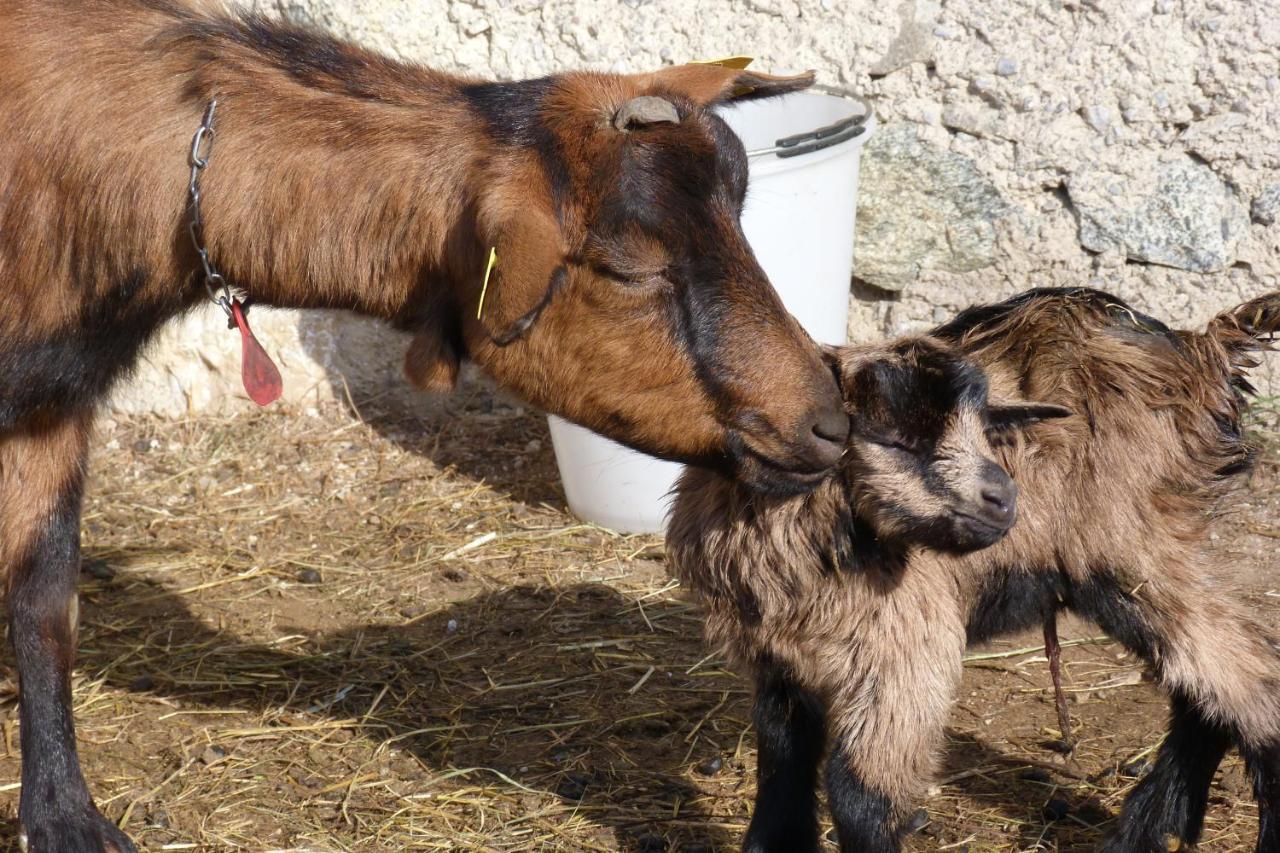 Agriturismo La Meta Pieve di Bono Εξωτερικό φωτογραφία