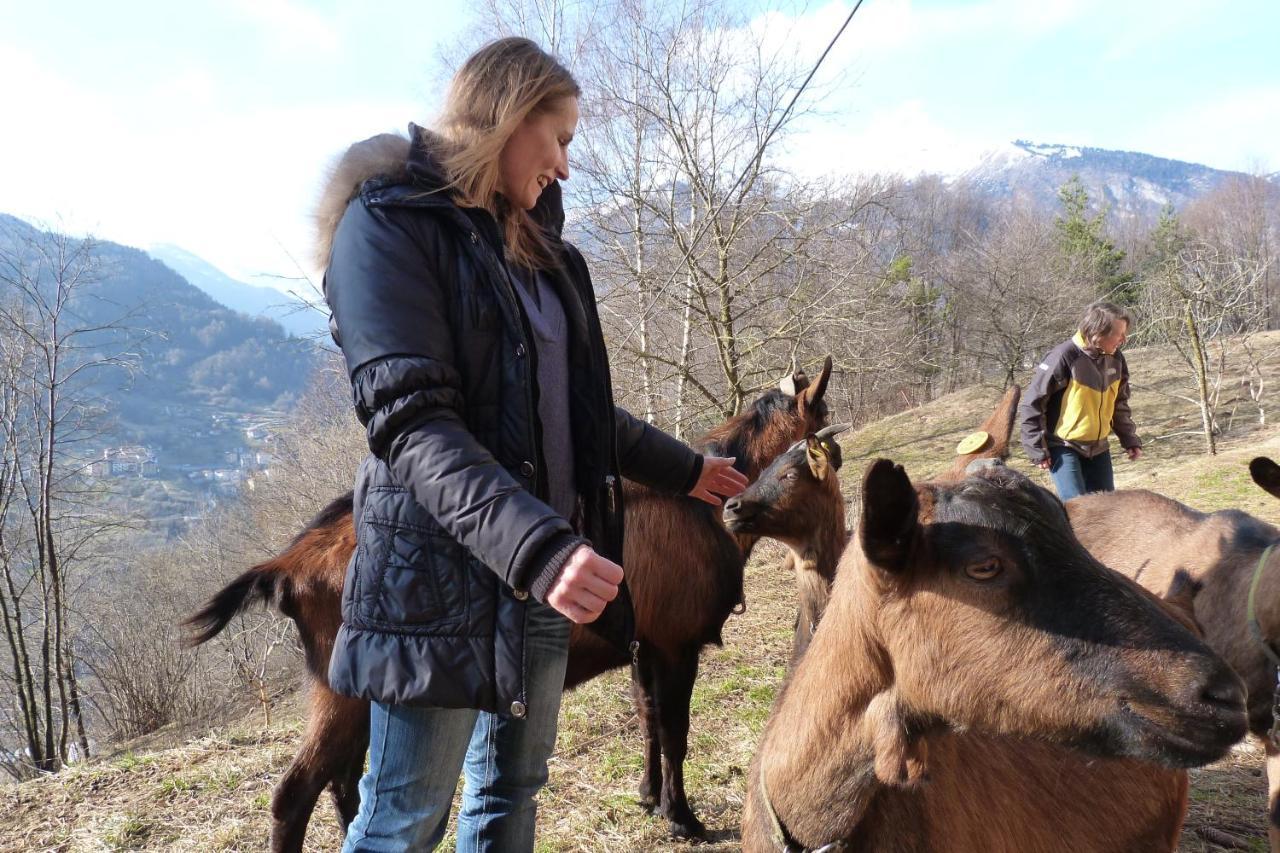 Agriturismo La Meta Pieve di Bono Εξωτερικό φωτογραφία